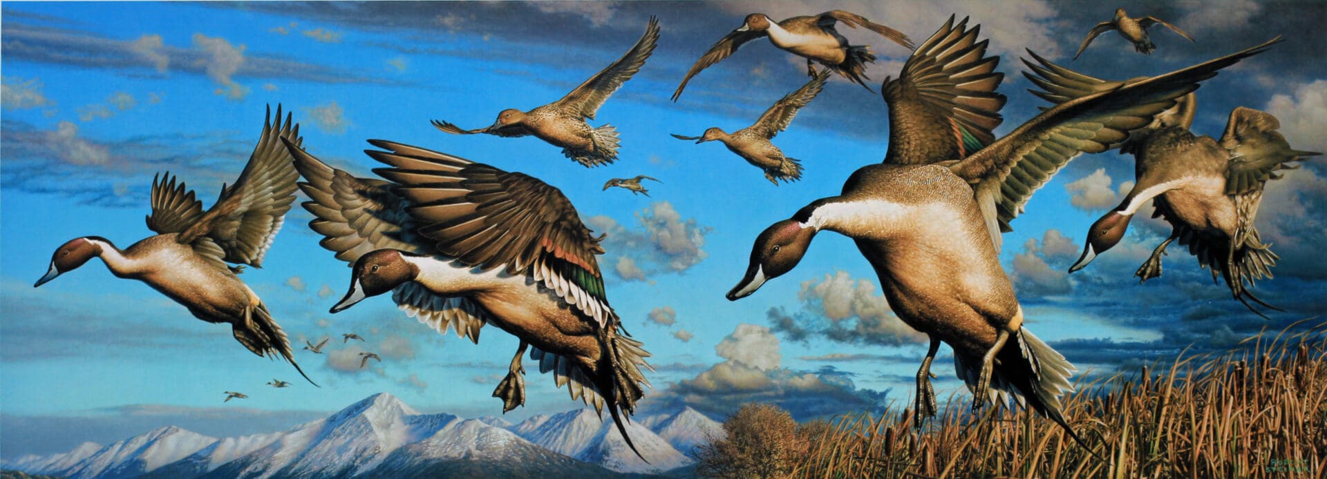 A painting of ducks flying in the sky