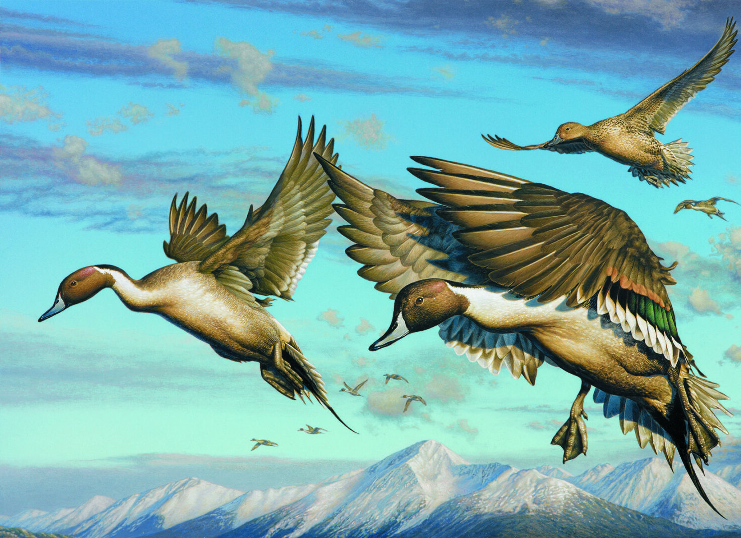 A painting of ducks flying in the sky